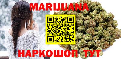индика Славгород