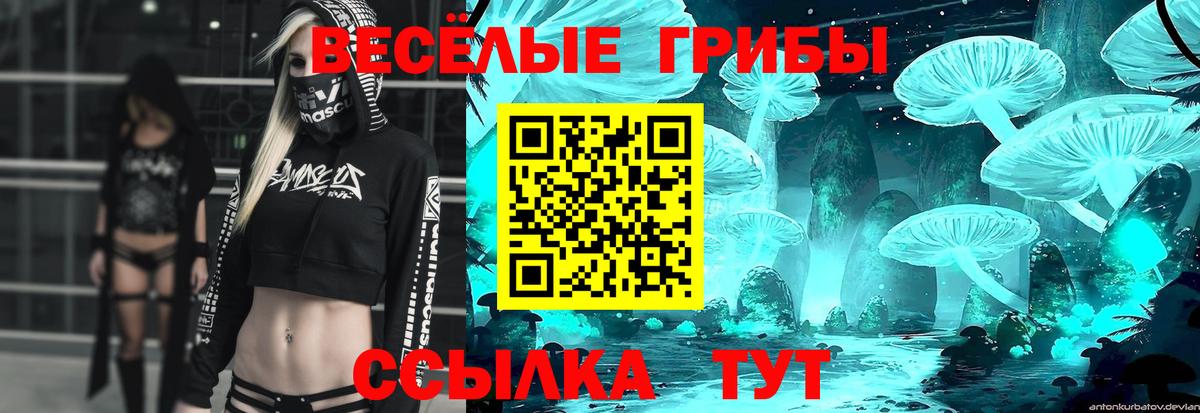 Галлюциногенные грибы Magic Shrooms Моздок