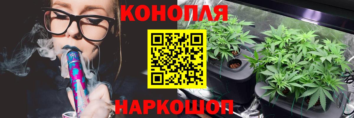 Моздок  Шишки марихуана SATIVA & INDICA  Конопля OG Kush  Каннабис семена  Вход с VPN 